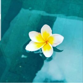 Federica: la mia storia ieri e oggi e la vita da creare e ricreare.. Federica: la mia storia ieri e oggi e la vita da creare e ricreare..